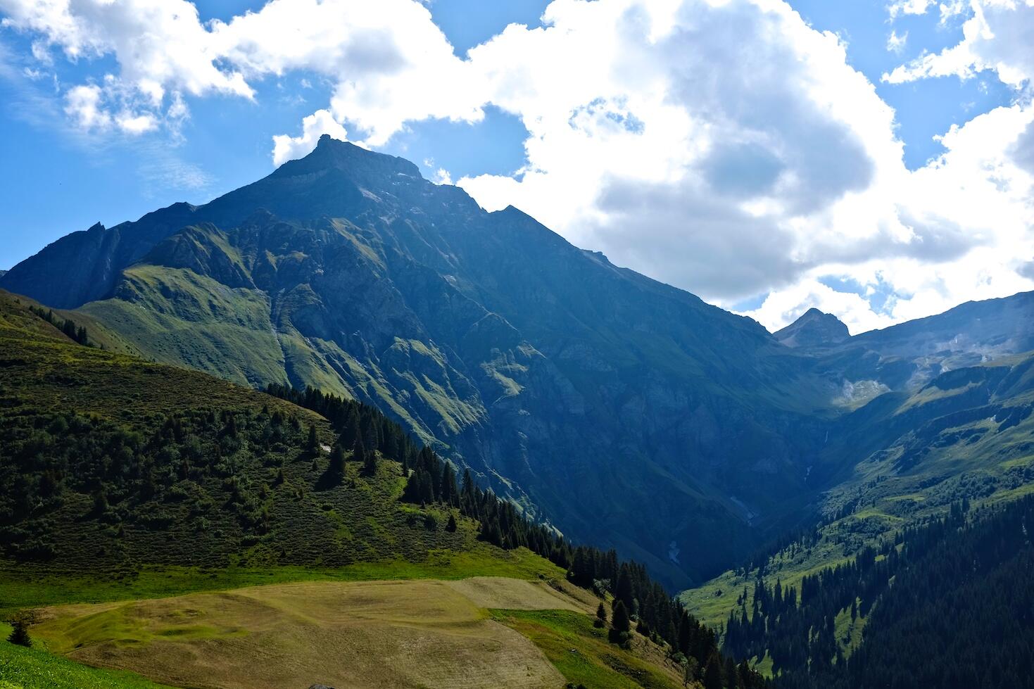 Bild ohne Beschreibung