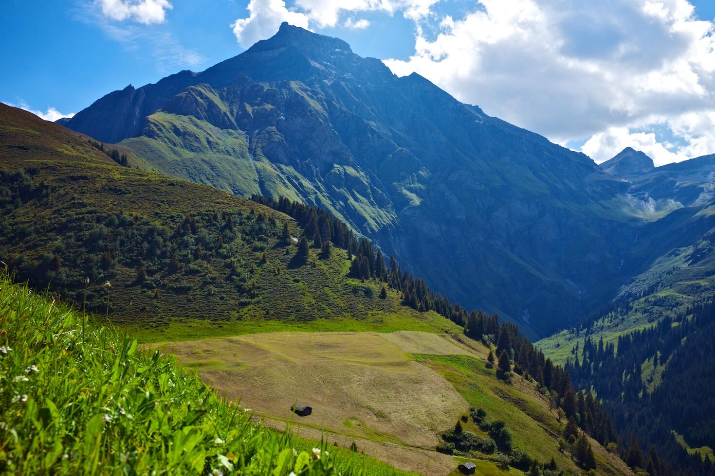 Bild ohne Beschreibung