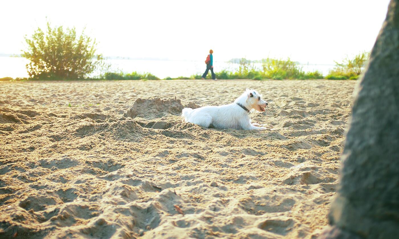 Bild ohne Beschreibung