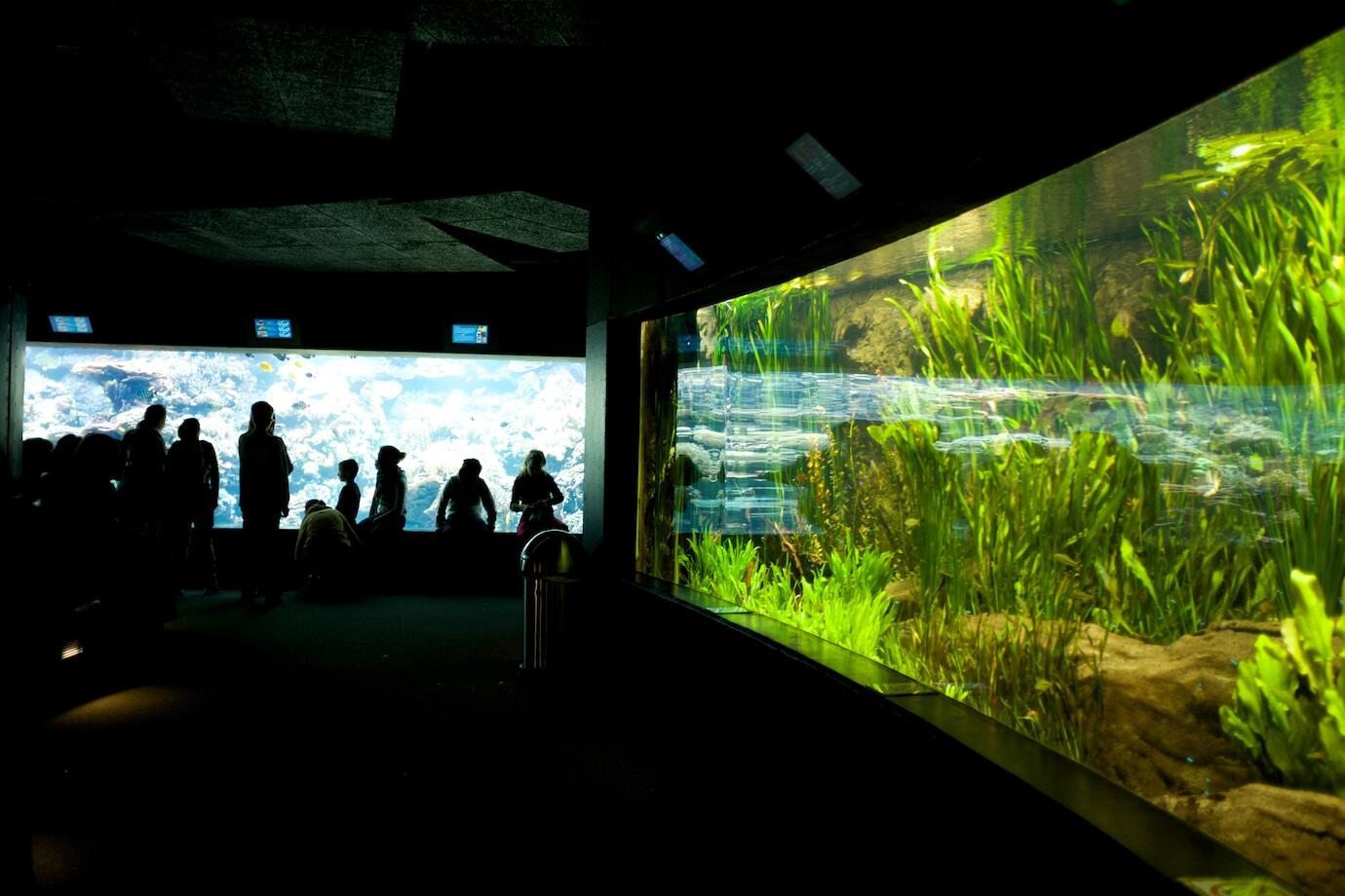 Bild ohne Beschreibung