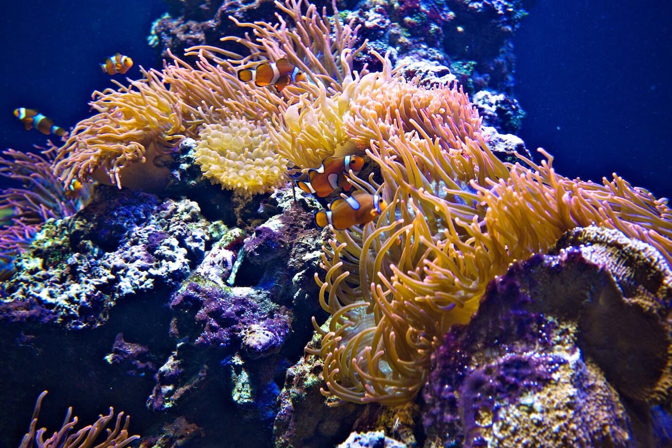 Bild ohne Beschreibung