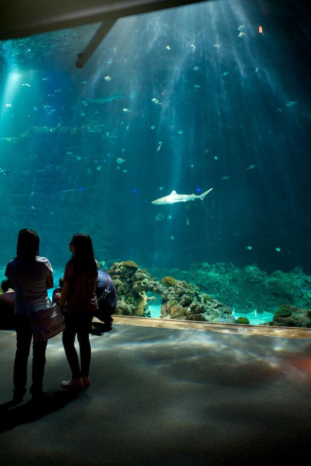 Bild ohne Beschreibung