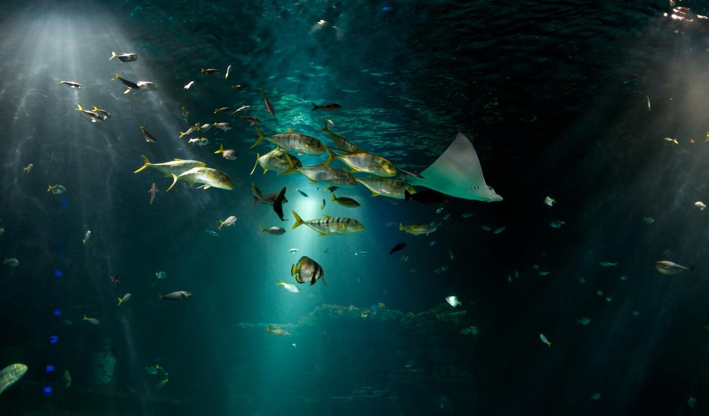 Bild ohne Beschreibung