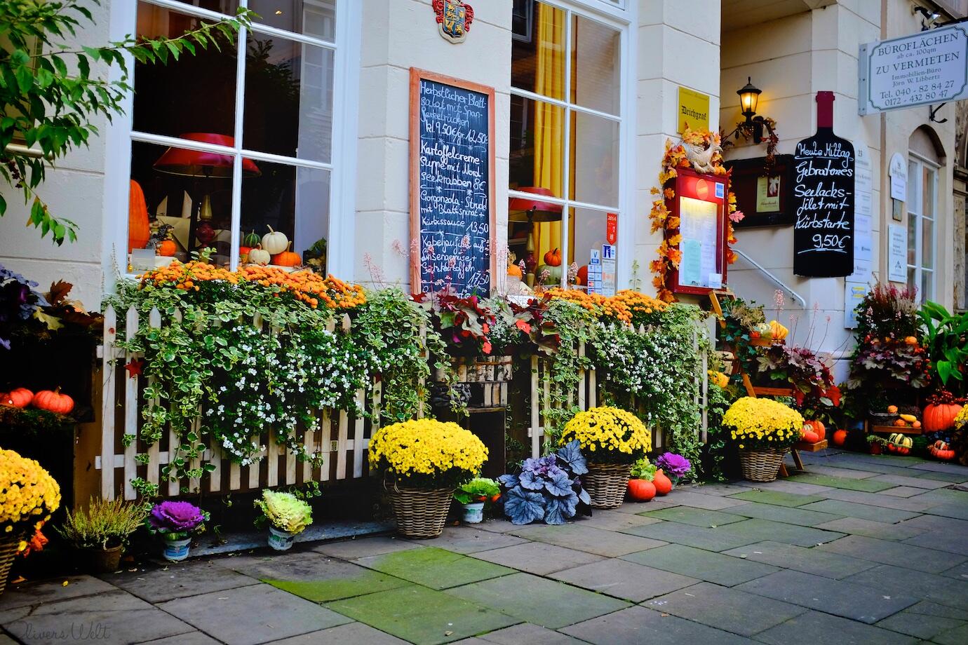 Bild ohne Beschreibung