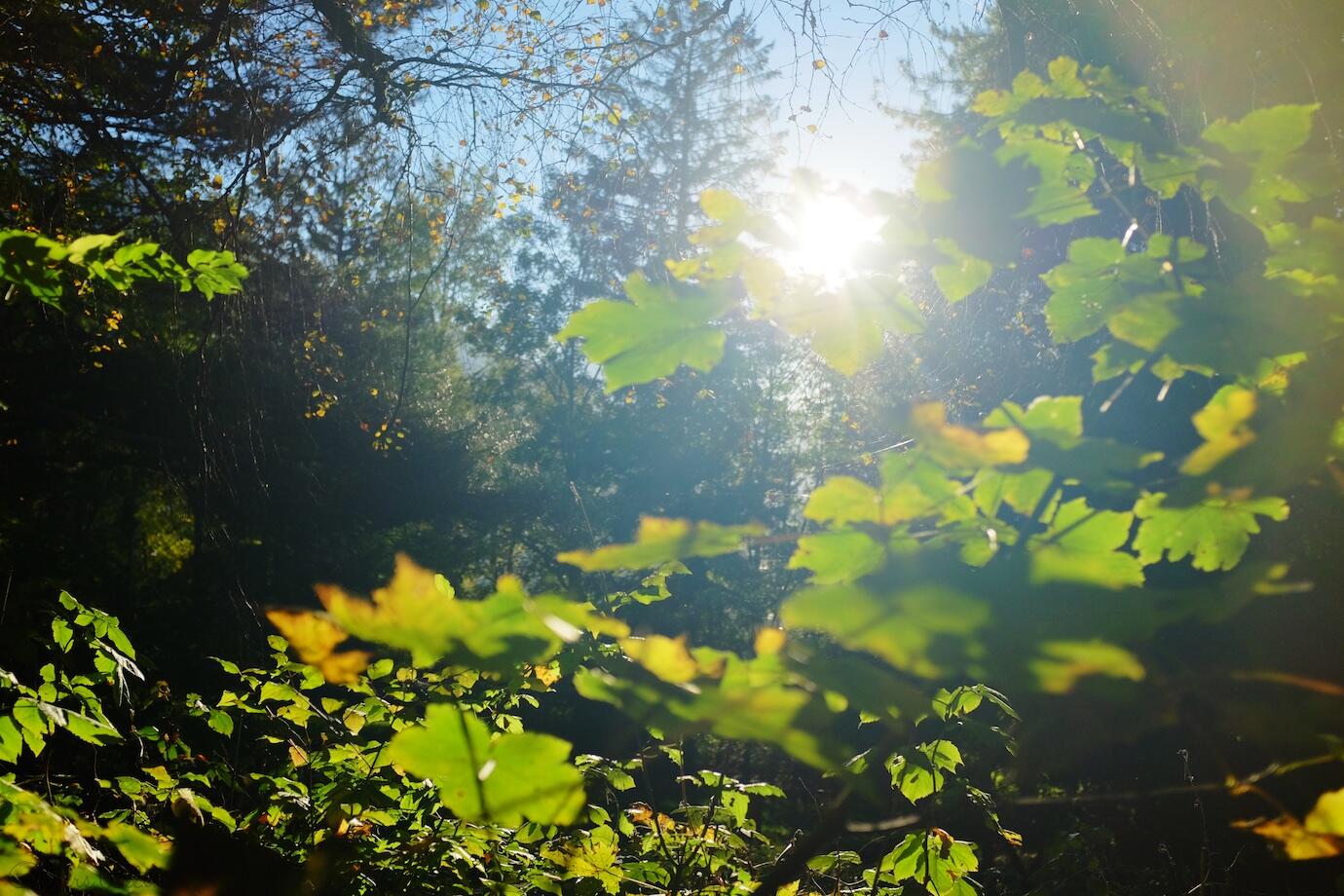 Bild ohne Beschreibung