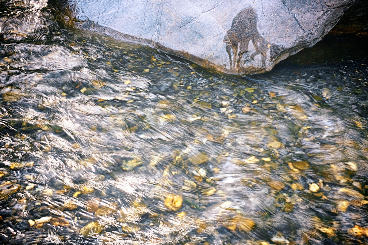 Bild ohne Beschreibung