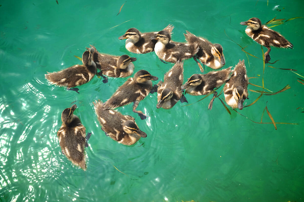 Bild ohne Beschreibung Bild ohne Beschreibung