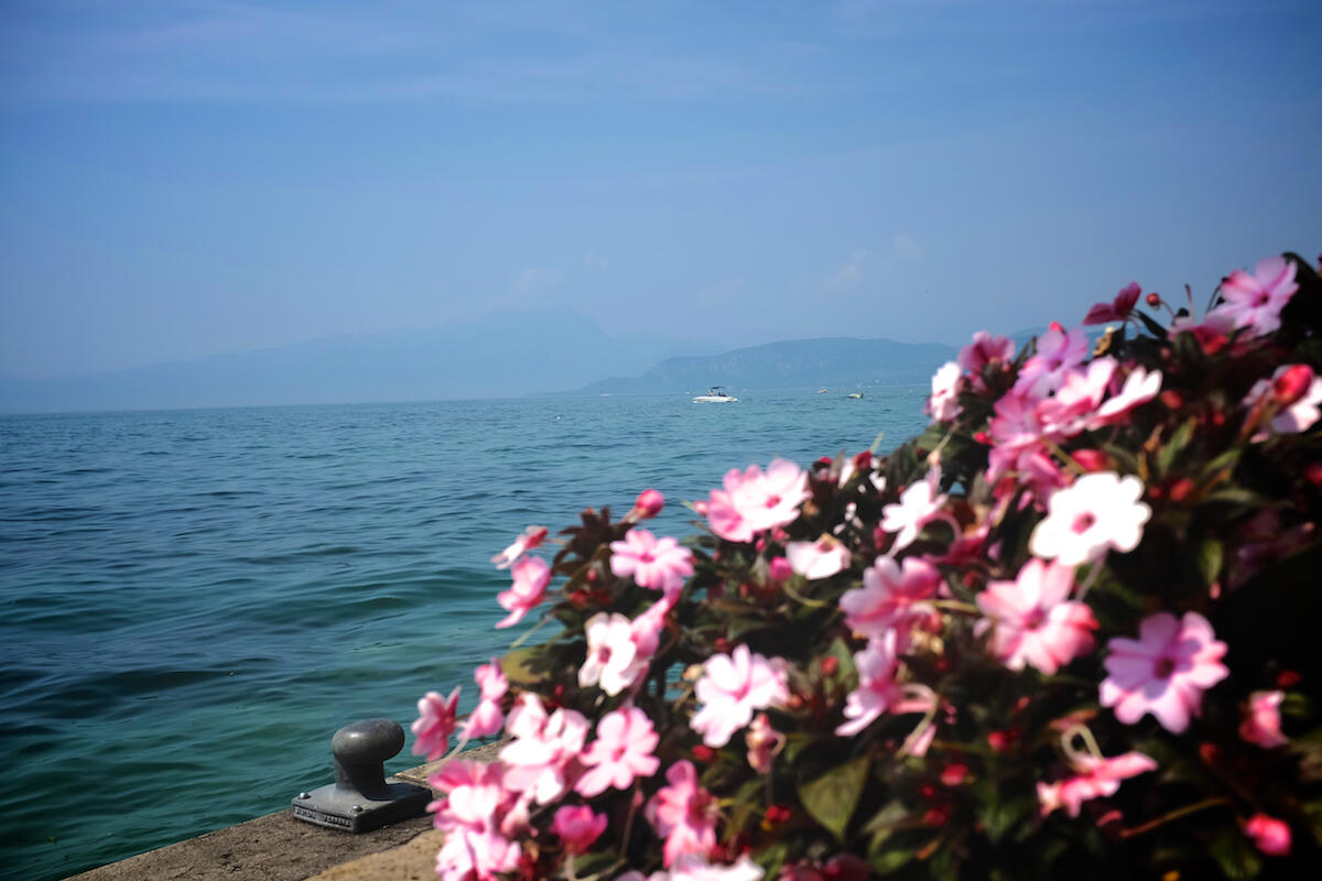 Bild ohne Beschreibung Bild ohne Beschreibung