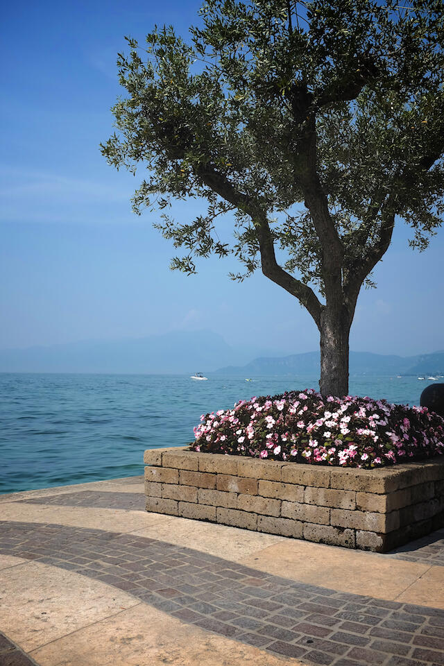 Bild ohne Beschreibung Bild ohne Beschreibung