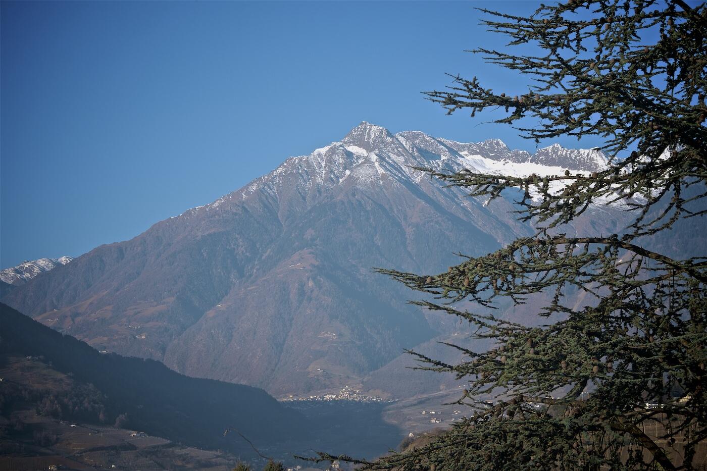 Bild ohne Beschreibung