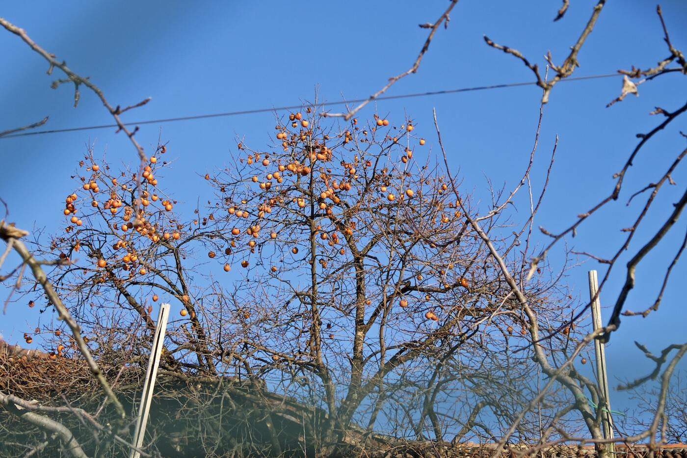 Bild ohne Beschreibung