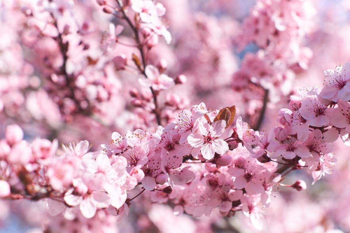 Bild ohne Beschreibung