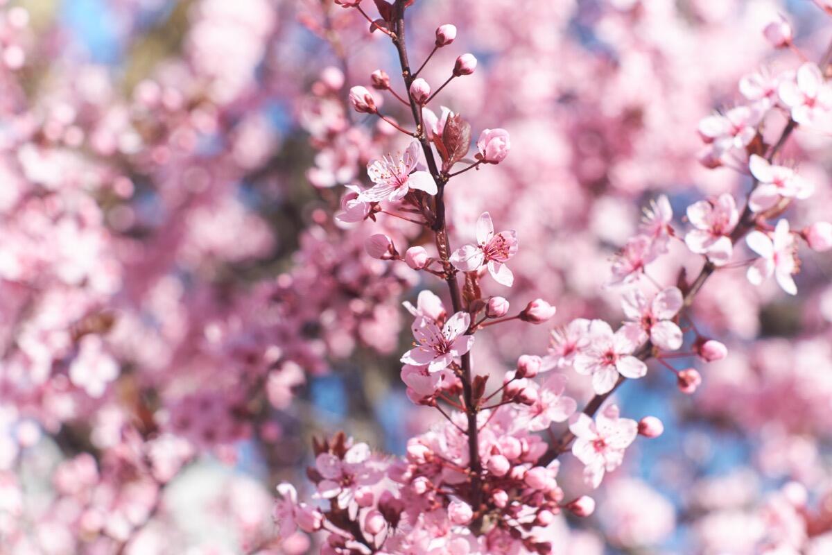 Bild ohne Beschreibung