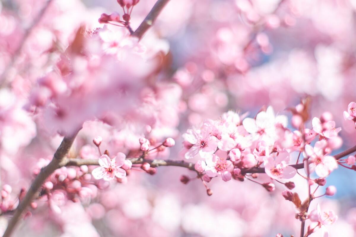 Bild ohne Beschreibung