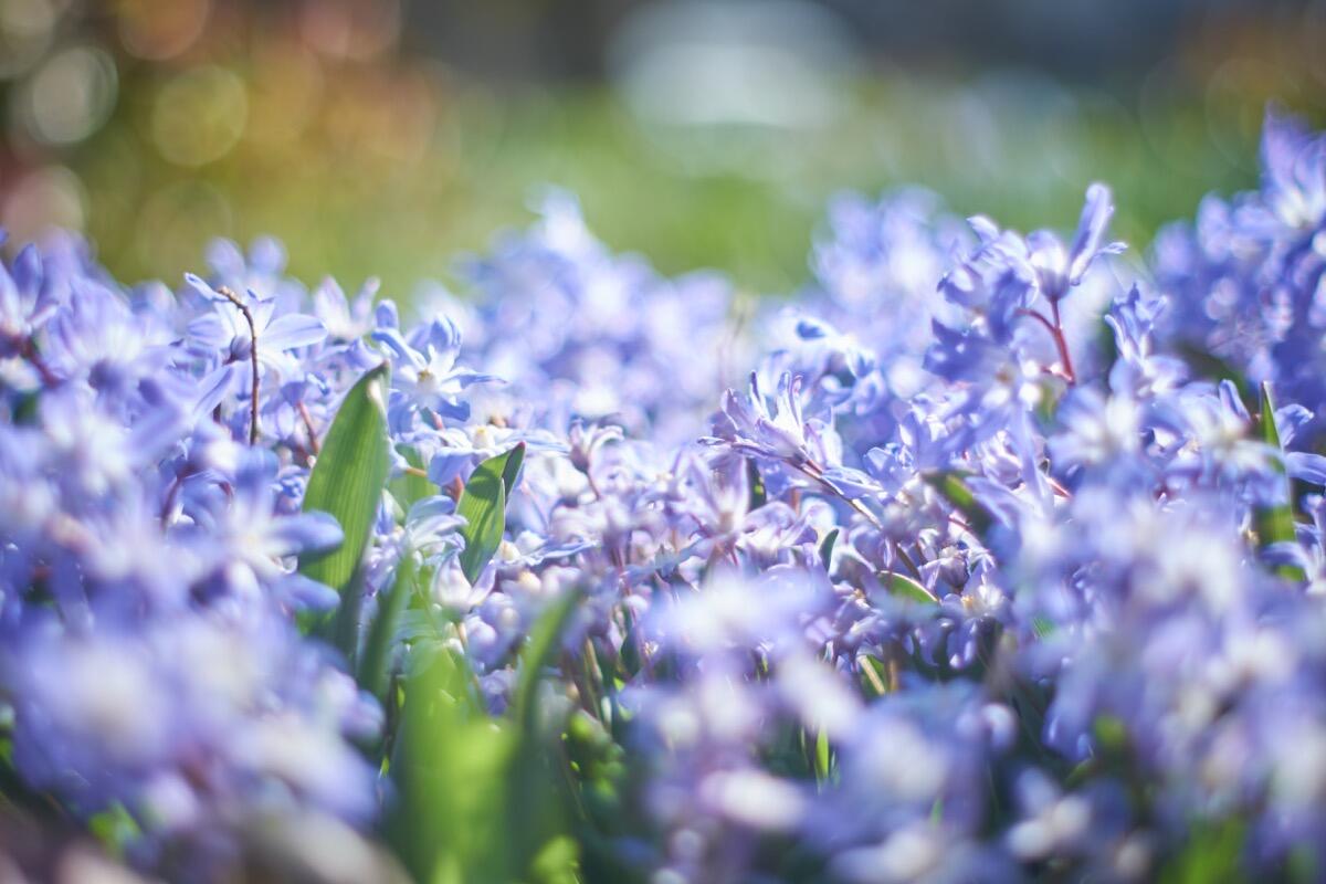 Bild ohne Beschreibung