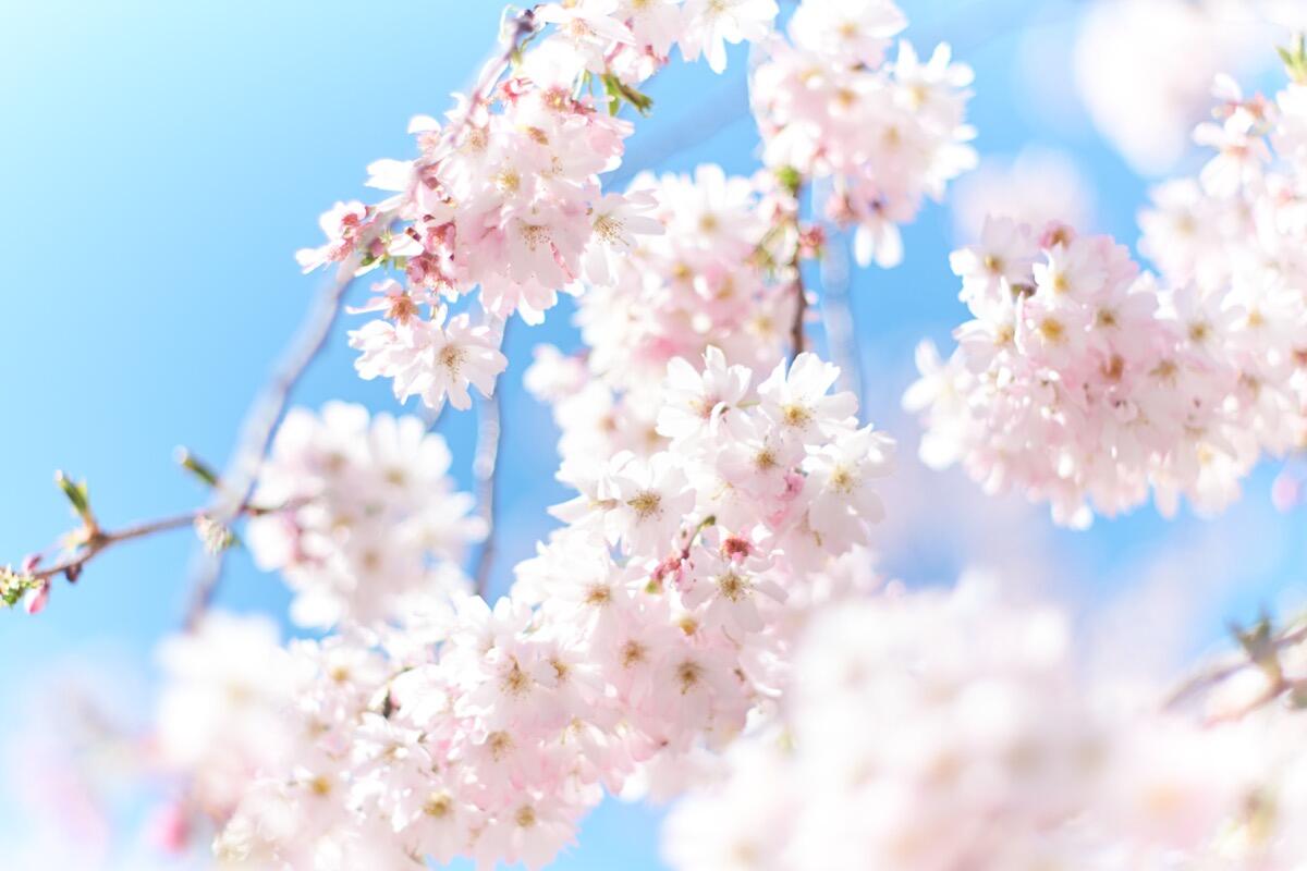 Bild ohne Beschreibung