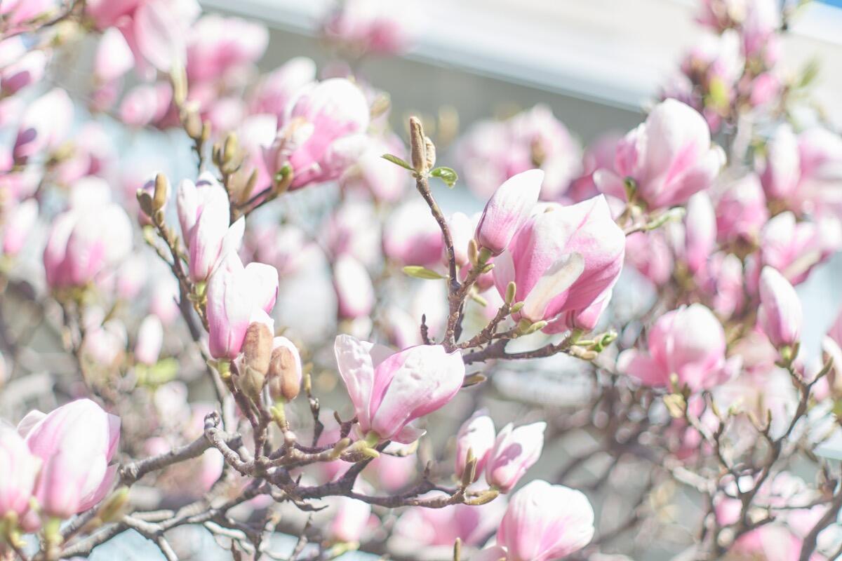 Bild ohne Beschreibung