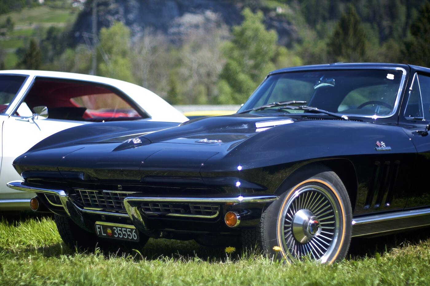 Bild ohne Beschreibung Bild ohne Beschreibung