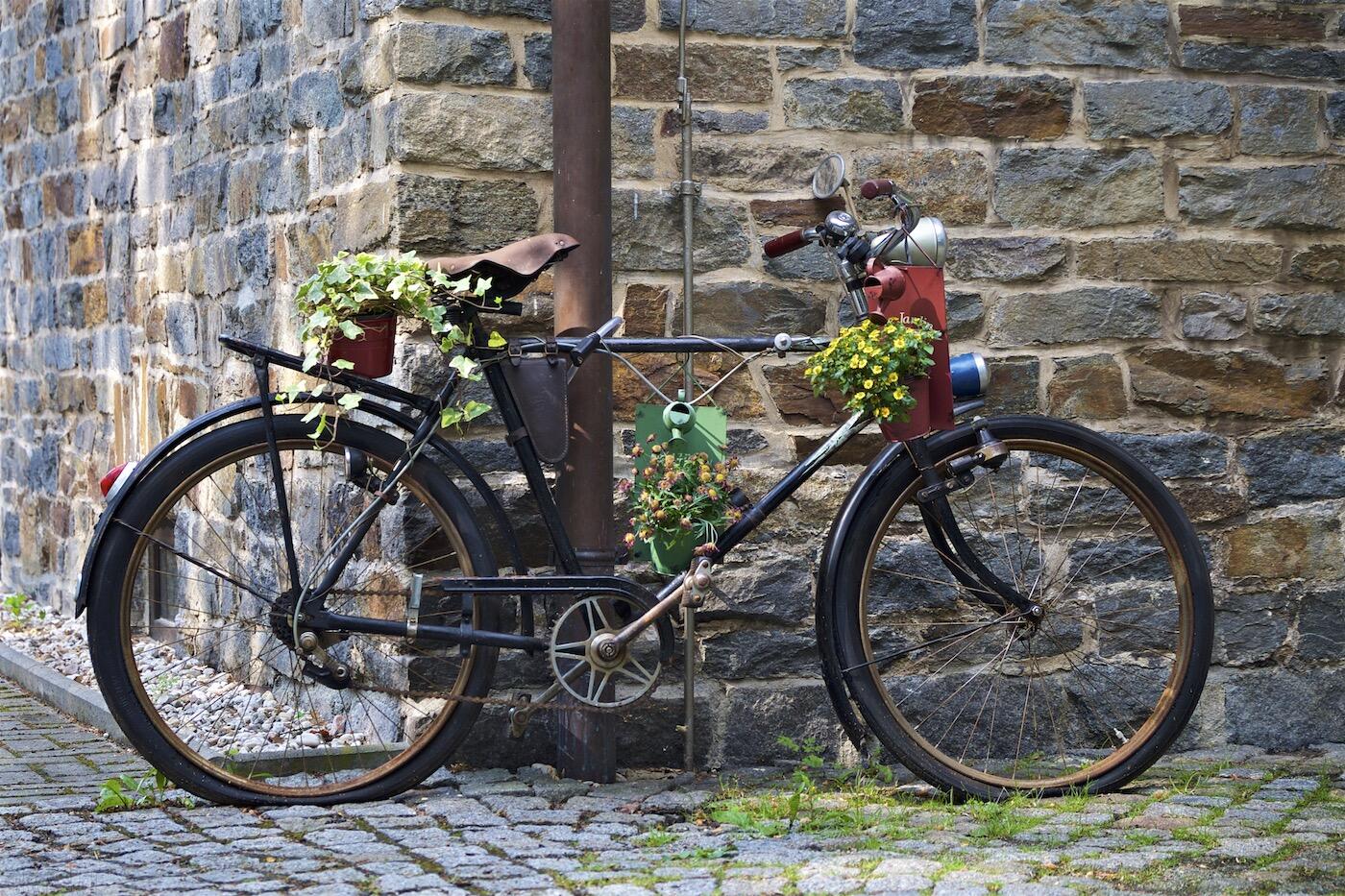 Bild ohne Beschreibung Bild ohne Beschreibung