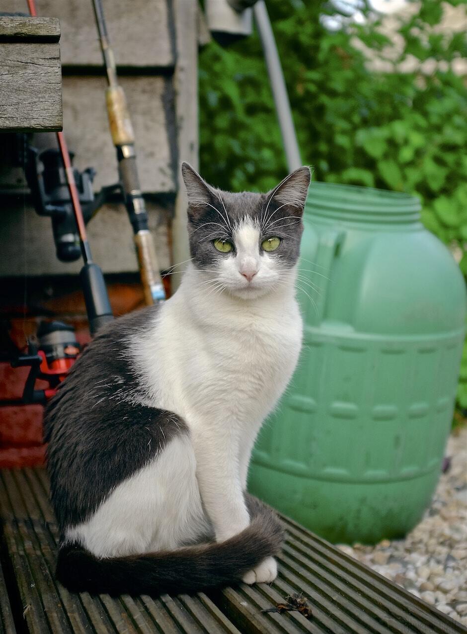 Bild ohne Beschreibung