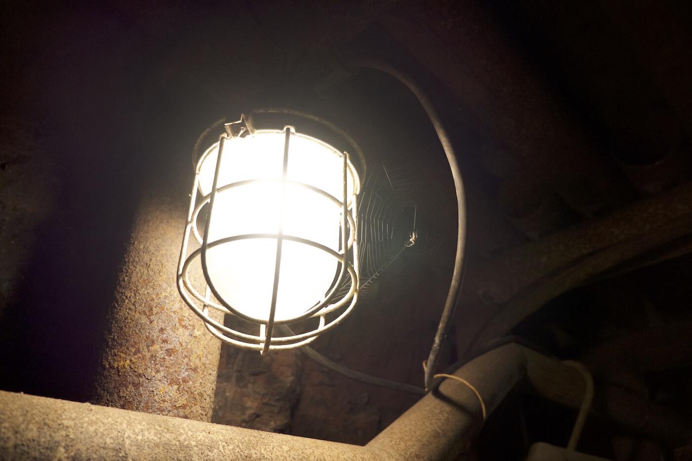 Bild ohne Beschreibung