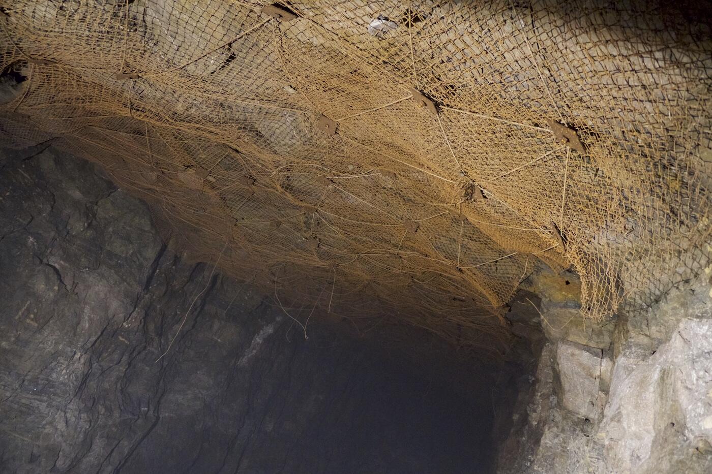 Bild ohne Beschreibung