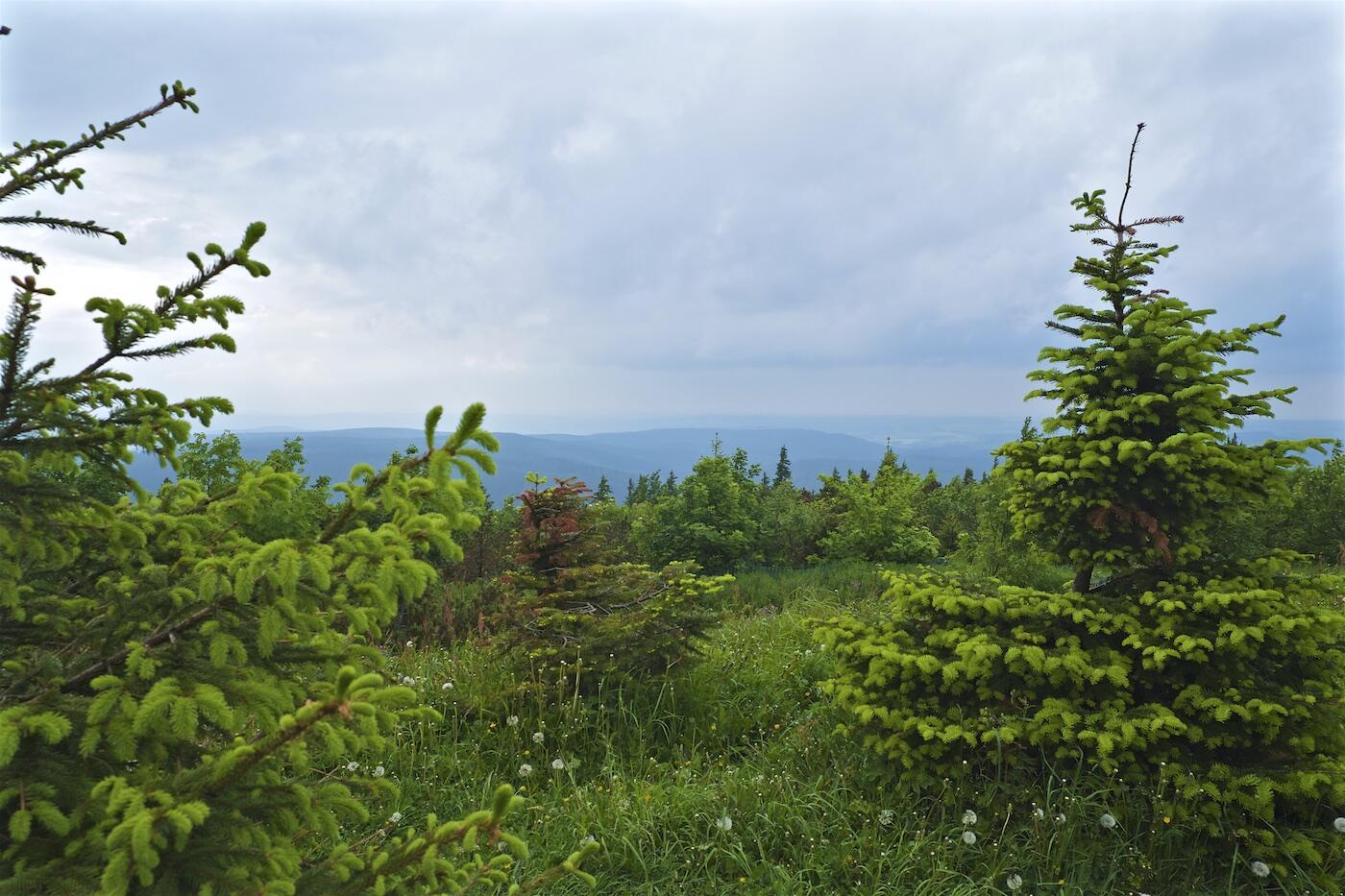 Bild ohne Beschreibung Bild ohne Beschreibung