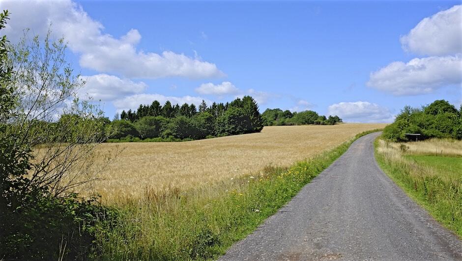 Bild ohne Beschreibung