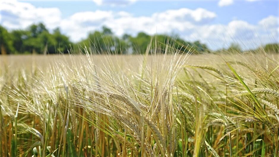 Bild ohne Beschreibung