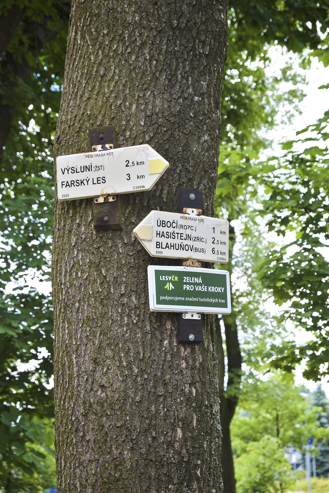 Bild ohne Beschreibung