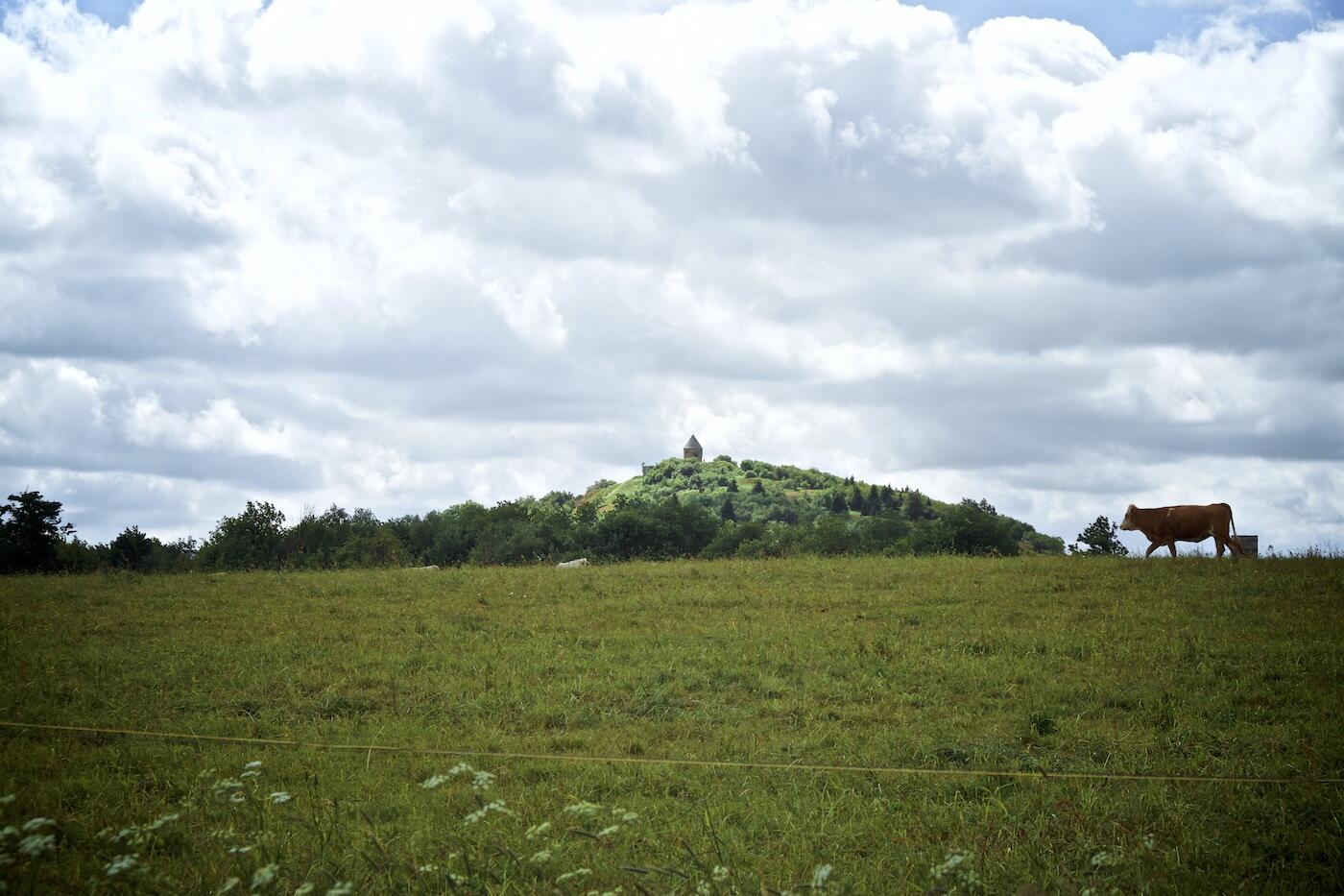 Bild ohne Beschreibung