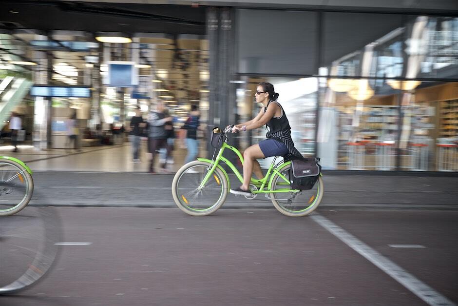 Bild ohne Beschreibung