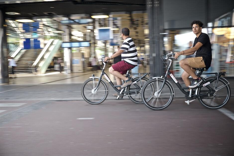 Bild ohne Beschreibung