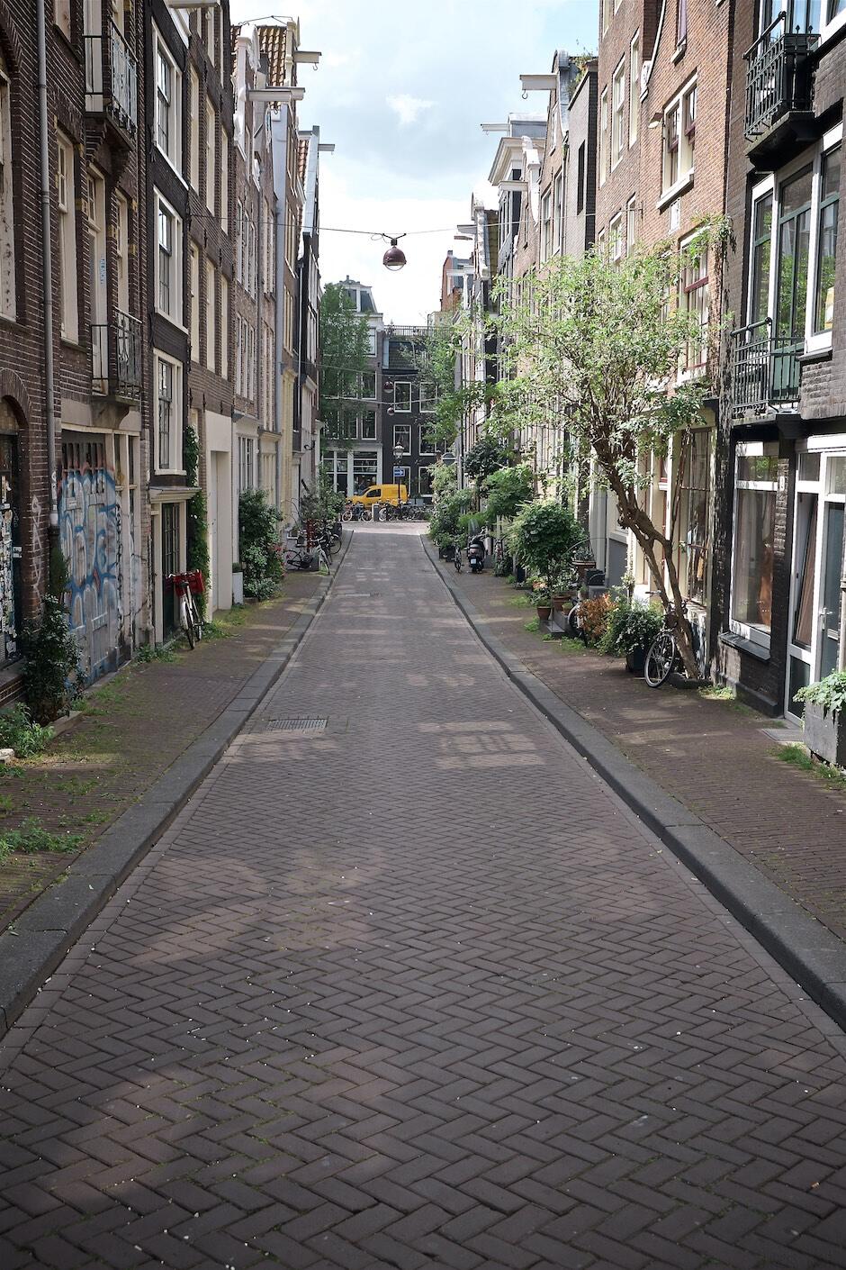 Bild ohne Beschreibung