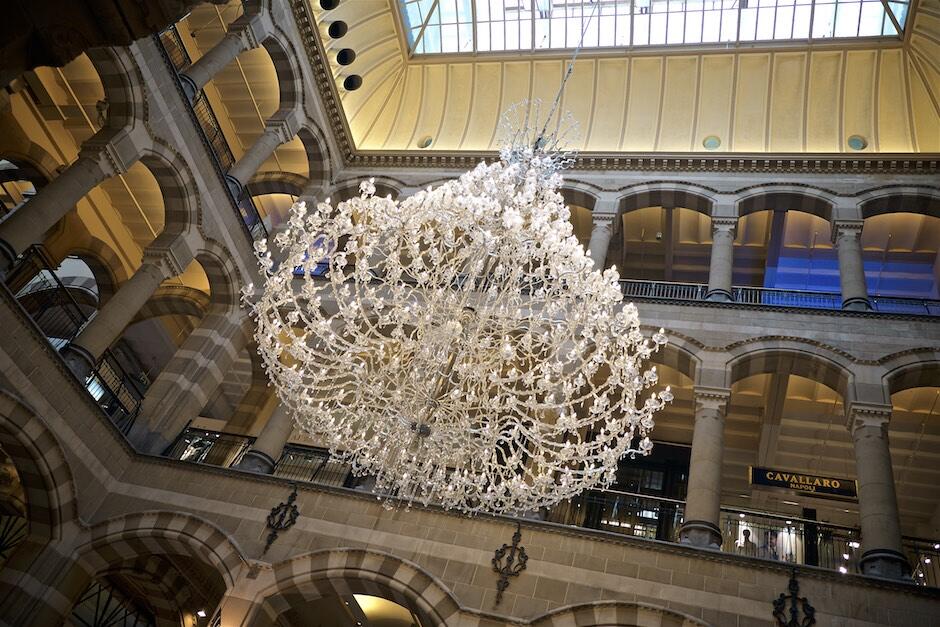 Bild ohne Beschreibung