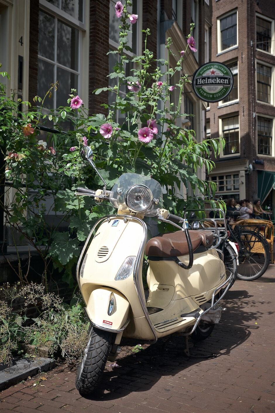 Bild ohne Beschreibung