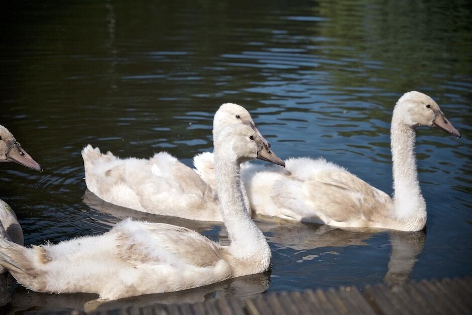 Bild ohne Beschreibung