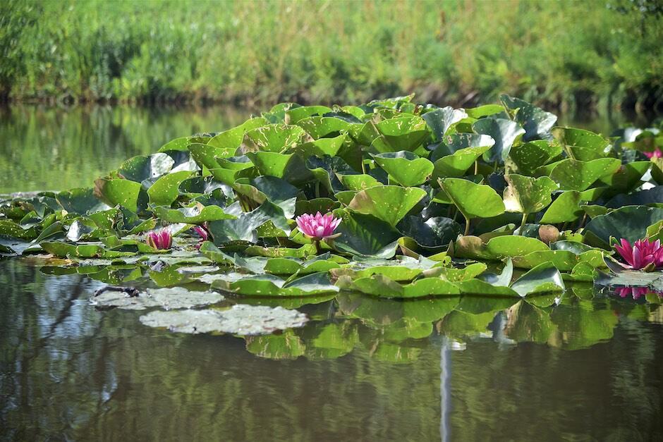 Bild ohne Beschreibung