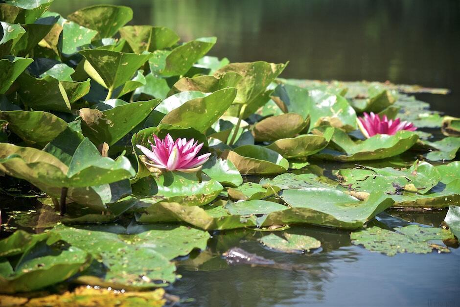 Bild ohne Beschreibung