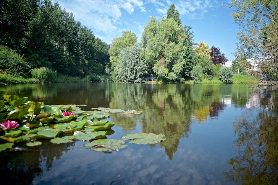 Bild ohne Beschreibung