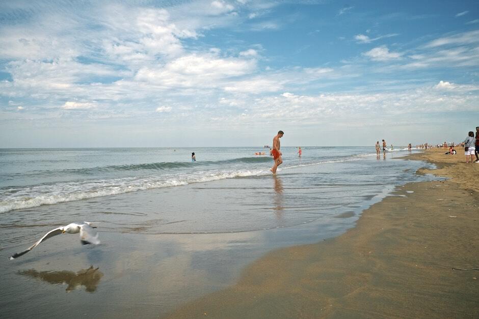 Bild ohne Beschreibung