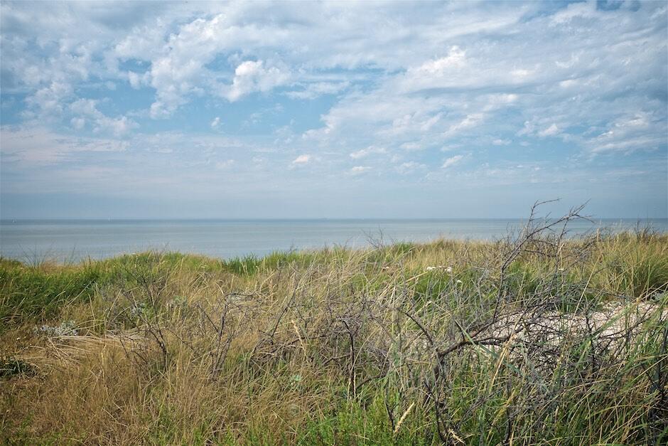 Bild ohne Beschreibung