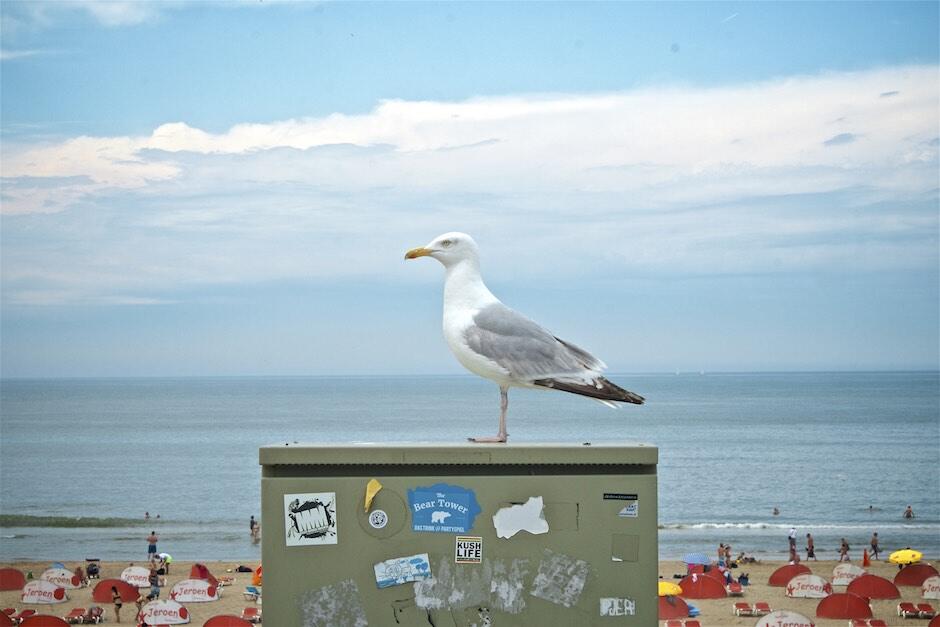 Bild ohne Beschreibung