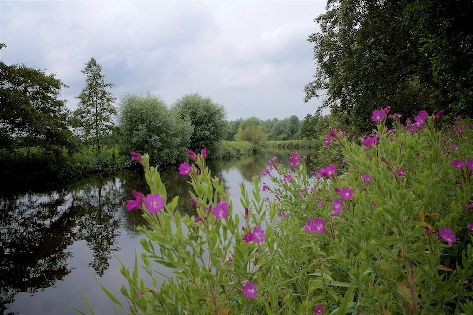 Bild ohne Beschreibung