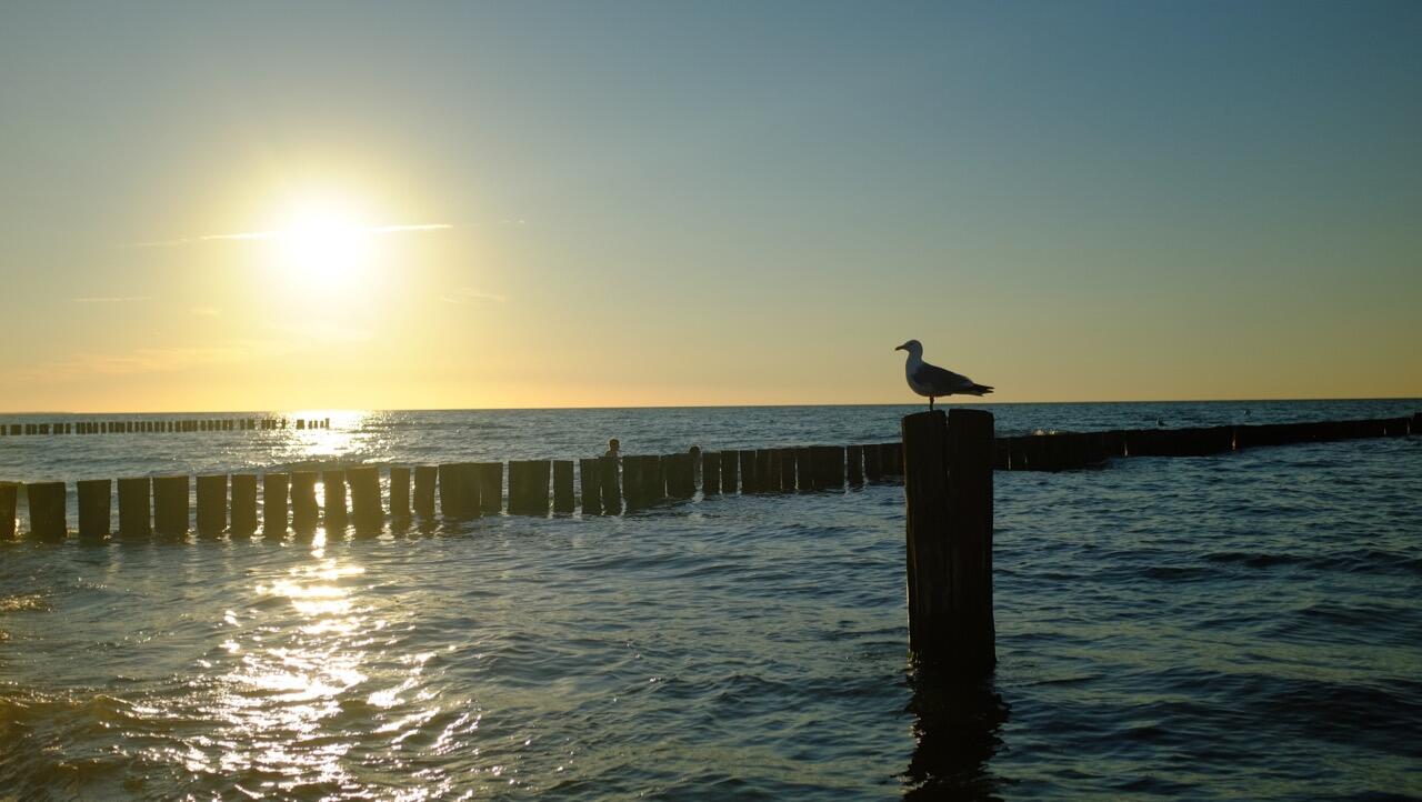 Bild ohne Beschreibung