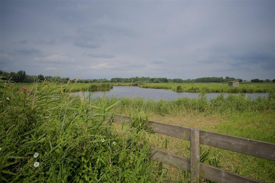 Bild ohne Beschreibung