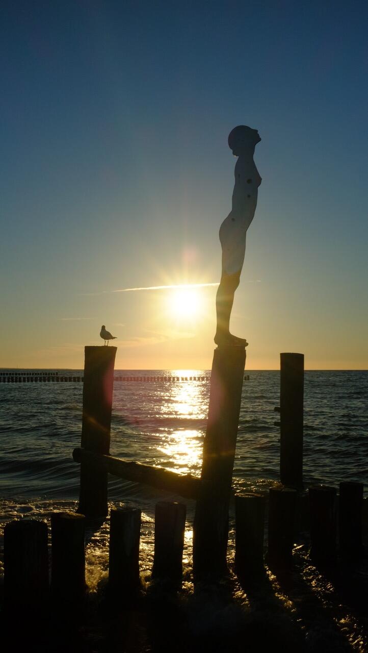 Bild ohne Beschreibung