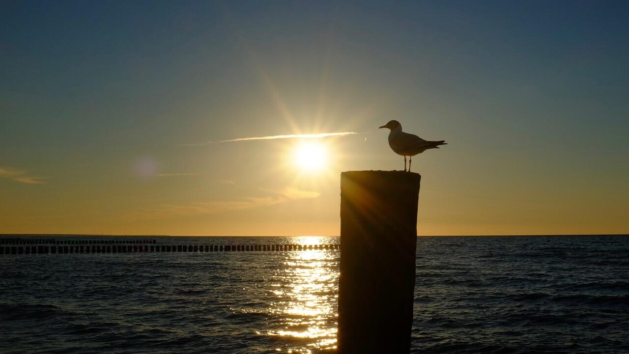 Bild ohne Beschreibung