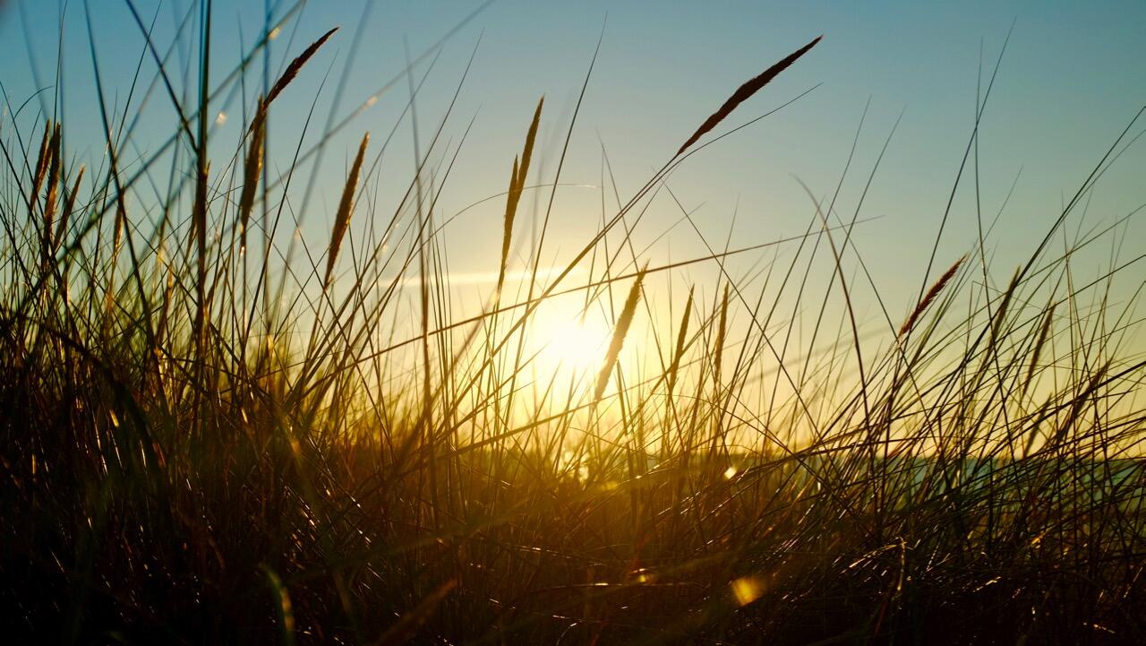 Bild ohne Beschreibung