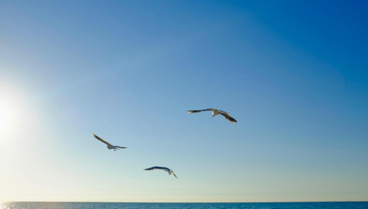 Bild ohne Beschreibung Bild ohne Beschreibung